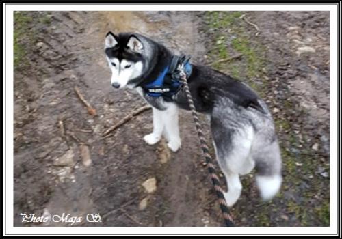 Elfie (5,5 ans)