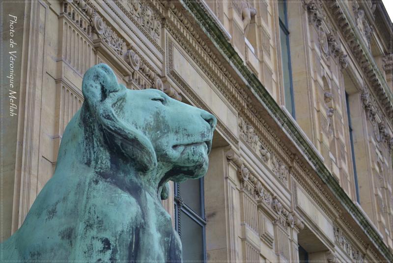 Musée du Louvre : La Porte des Lions : Lionnes du Sahara