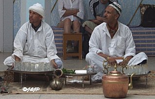 P5034250marq