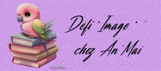 Image n°5...