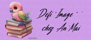 Image n°1...