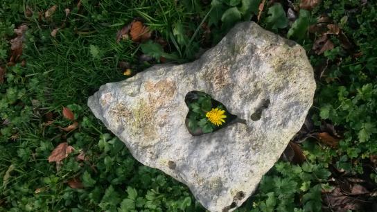 Yves P.‏ - les émanants