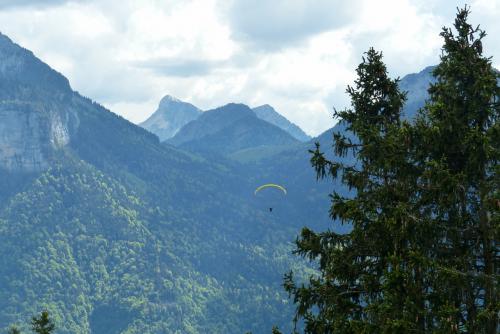 Parapentes :