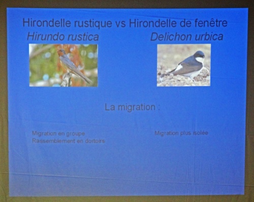 Une conférence de la LPO à Marcenay...
