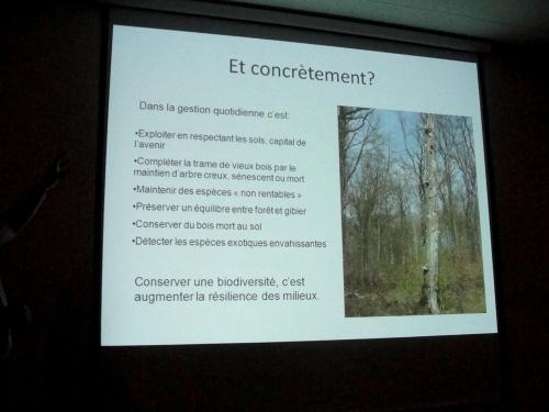 -Dominique Masson , peintre à Villaines en Duesmois