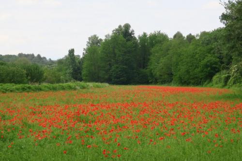 Randonnée "Au fil de l'eau" à NERS