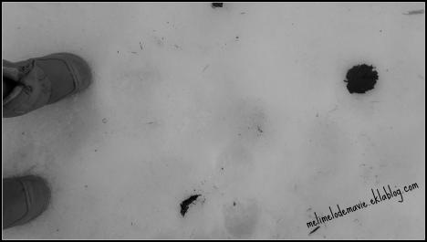 A travers leurs yeux d'enfants, #Un froid de canard! #Mois 6 , photographe en herbe