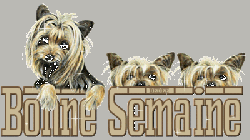 ATC Animaux de Compagnie