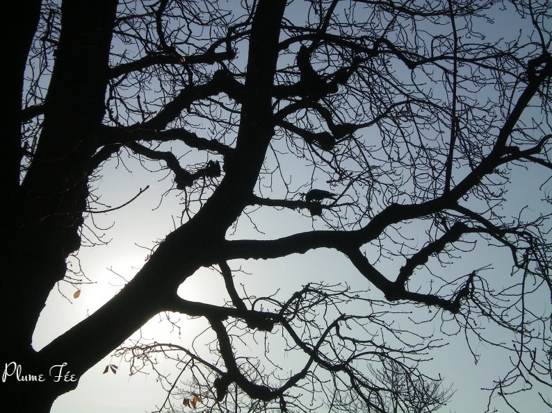 Image015.jpg