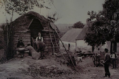 limg-1864297209.jpg