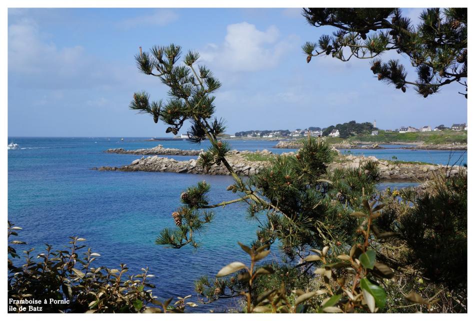 Ile de Batz Finistère nord - enez vaz -