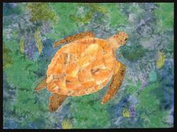 Pré-hibernation de la tortue d'Hermann
