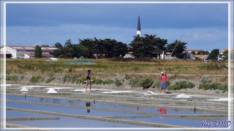 Ars-en-Ré : son clocher, ses marais salants, ses paludiers - Ile de Ré - 17 