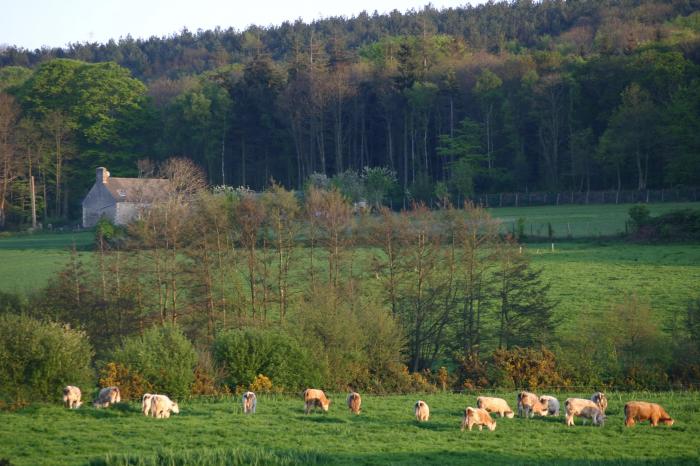 Départemment de la Manche 1ère partie