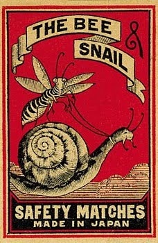 the bee snail