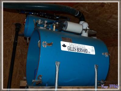 Installation de récupération d'eau d'érable dans une érablière - Petit Lac Preston - Duhamel - Outaouais - Québec - Canada