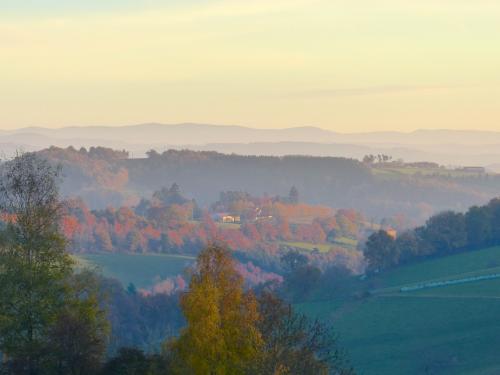Novembre :