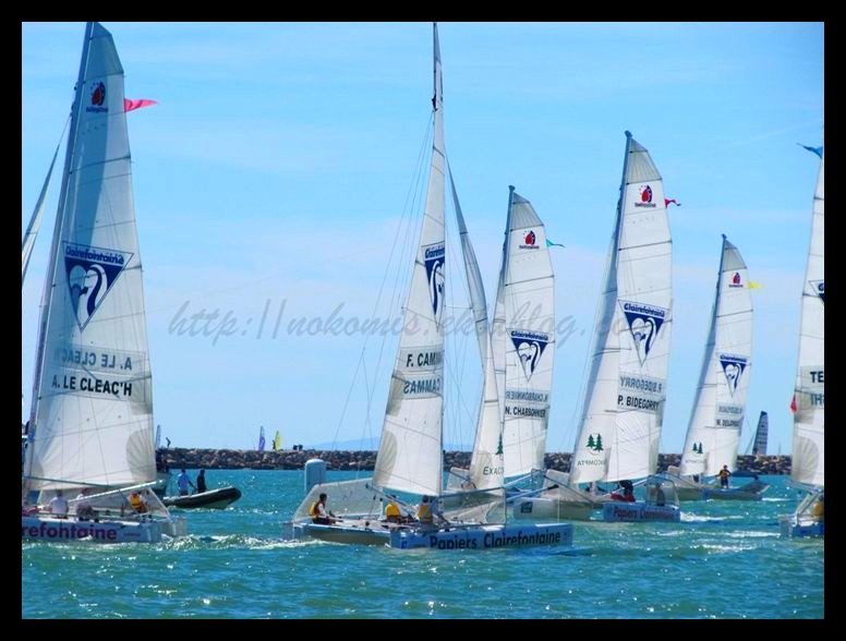 Tranches de vie d'un Australian Shepherd