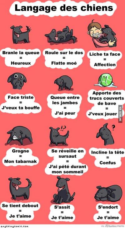 Mon Adoration