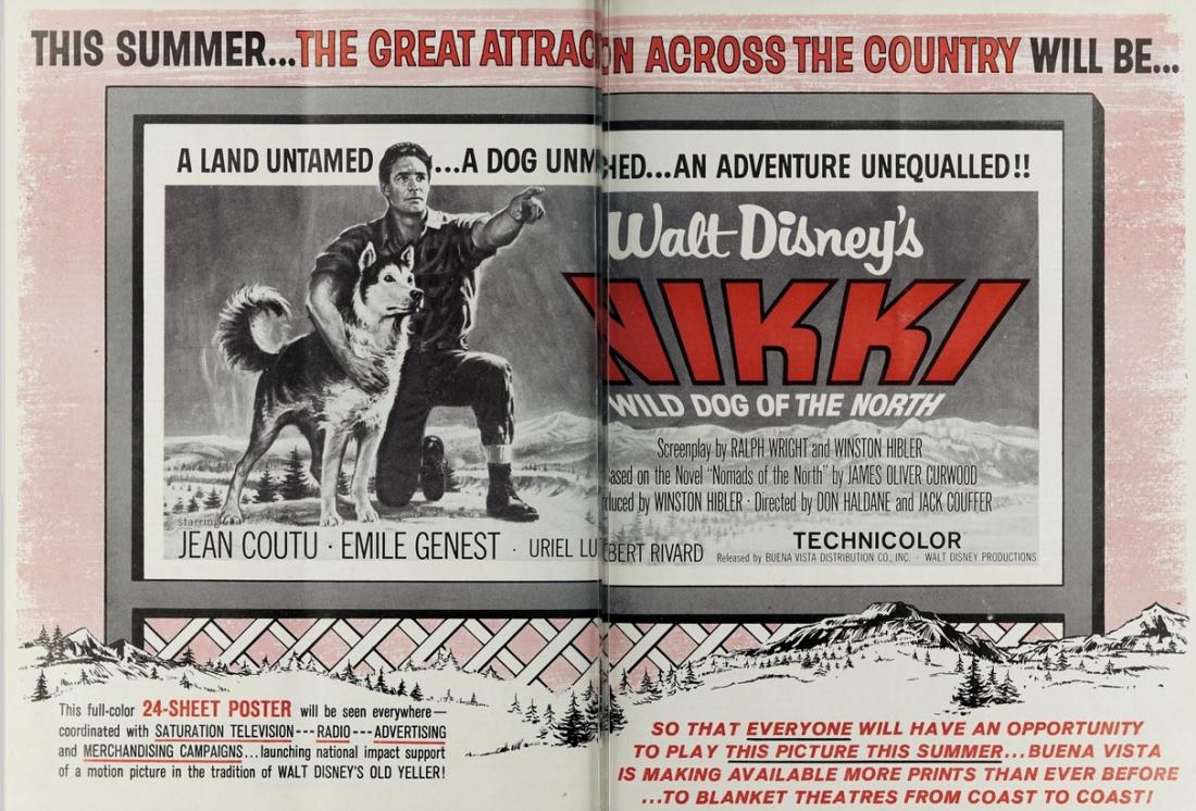 NIKKI WILD DOG OF THE NORTH BOX OFFICE USA 1961 AU 11 JUILLET 1961