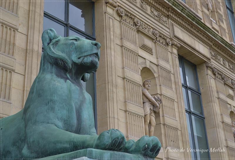 Musée du Louvre : La Porte des Lions : Lionnes du Sahara