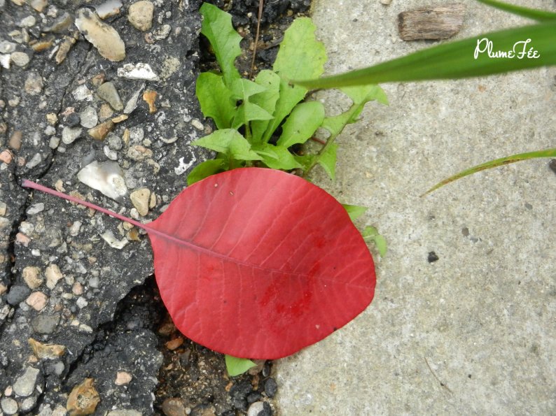 Image008.jpg