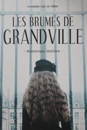 Les-brumes-de-grandville-1.JPG