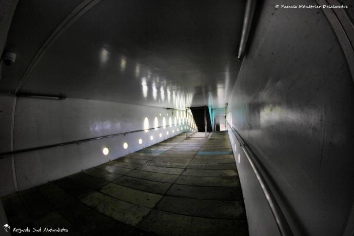 La passerelle entre terre et mer