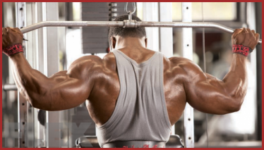 Que Des Muscles.