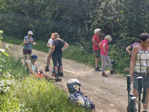 "Le long du Ru Blanc" - Mercredi 17 juillet 2024