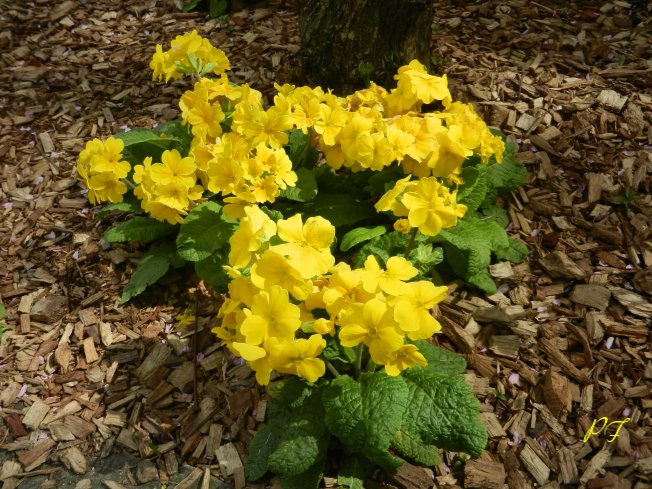 Image49.jpg