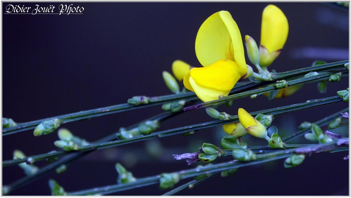 Balade / Dimanche 7 Avril 2019