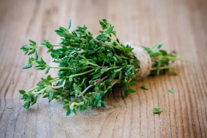Plantes aromatiques 2ème partie