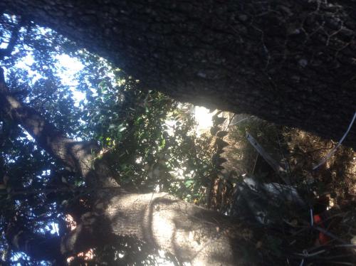 Maison inaccessible en milieu urbain