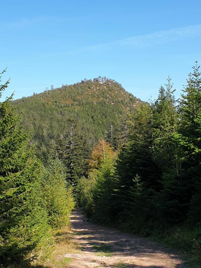 Département des Vosges
