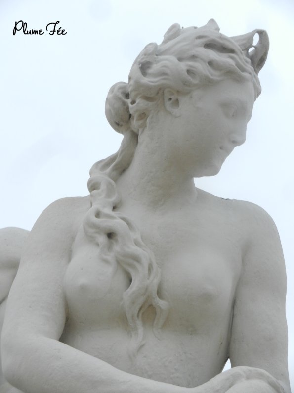 Image013.jpg