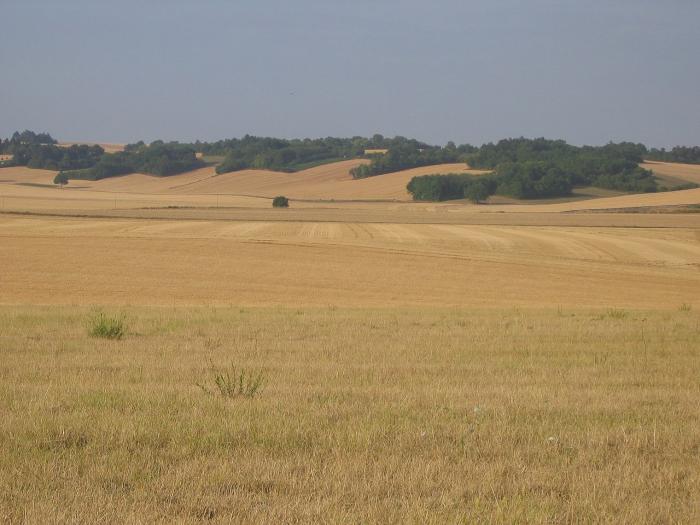 Département de l'Yonne