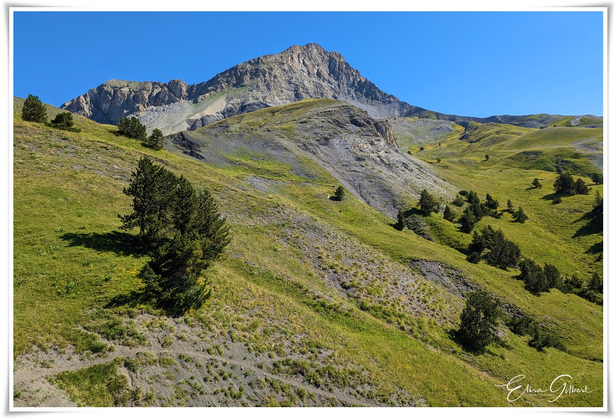 Le Col des Champs (côté Mercantour)