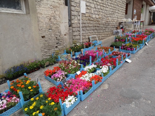 Foire aux graines