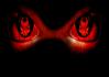 Regard_042.jpg