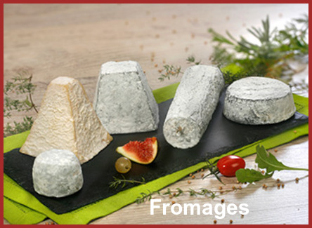 ღ꧁ღ╭⊱ꕥ   41 Le Centre  ꕥ⊱╮ღ꧂ღ