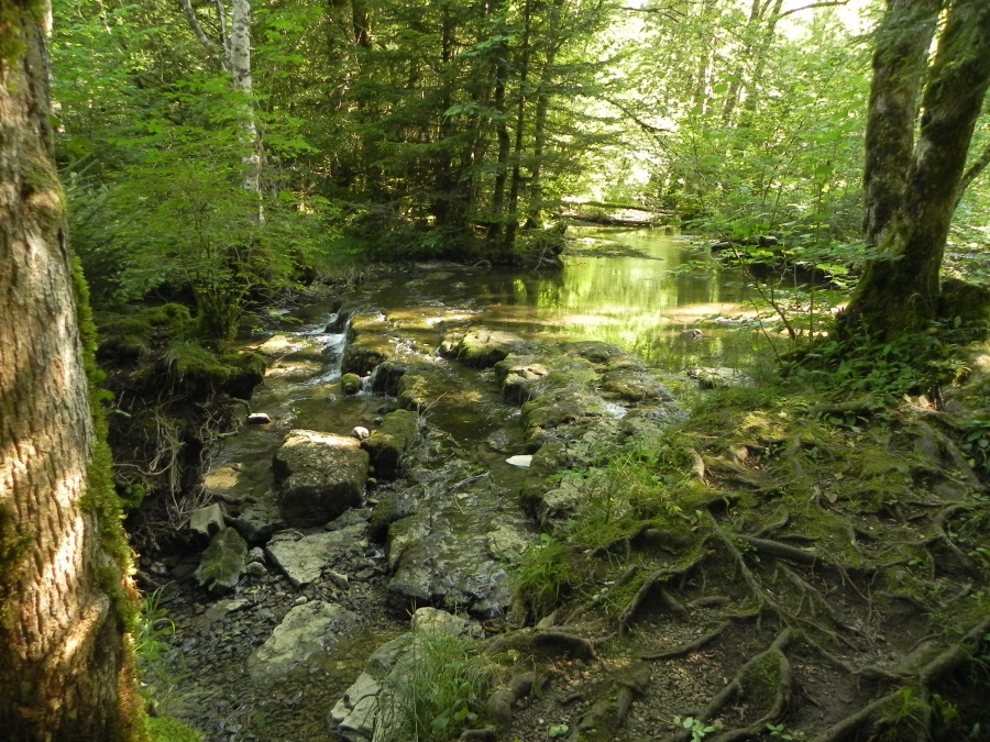 Le moulin Genet sur le parcours du Hérisson