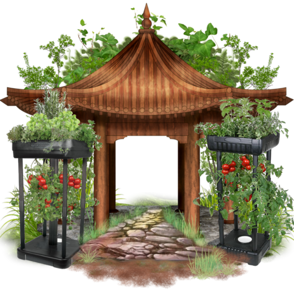 ❉ Chinese