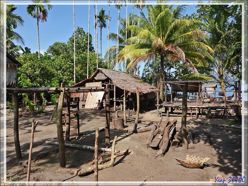 Débarquement à l'île Fergusson, puis, accompagnés par des guides locaux, direction de la source d'eau chaude de Deidei, avec ses fumées et ses geysers - Papouasie Nouvelle-Guinée
