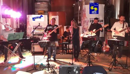 CONCERT PRIVÉ BOUSCAILLOUS NOVEMBRE 2018 