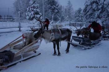 Voyage en Laponie au pays du Père Noël