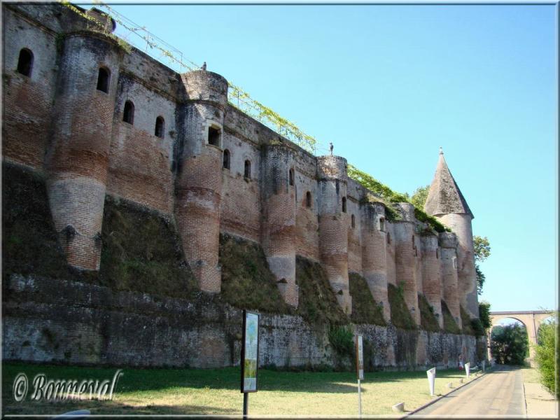 Albi le Palais de la Berbie vu de la berge du Tarn