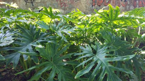 La Crète et son émeraude