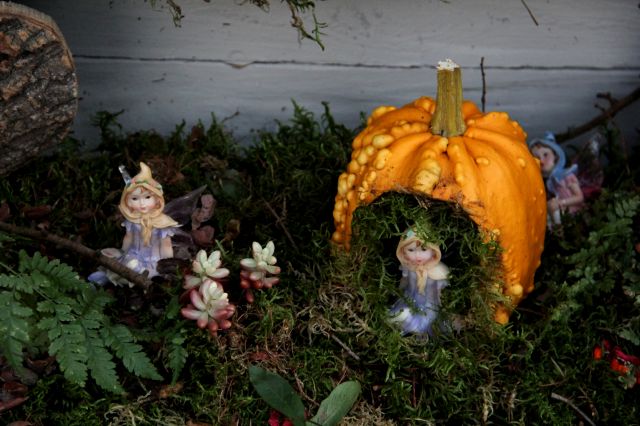 Beervelde - Octobre 2014 : Au Pays des Fées et des Elfes