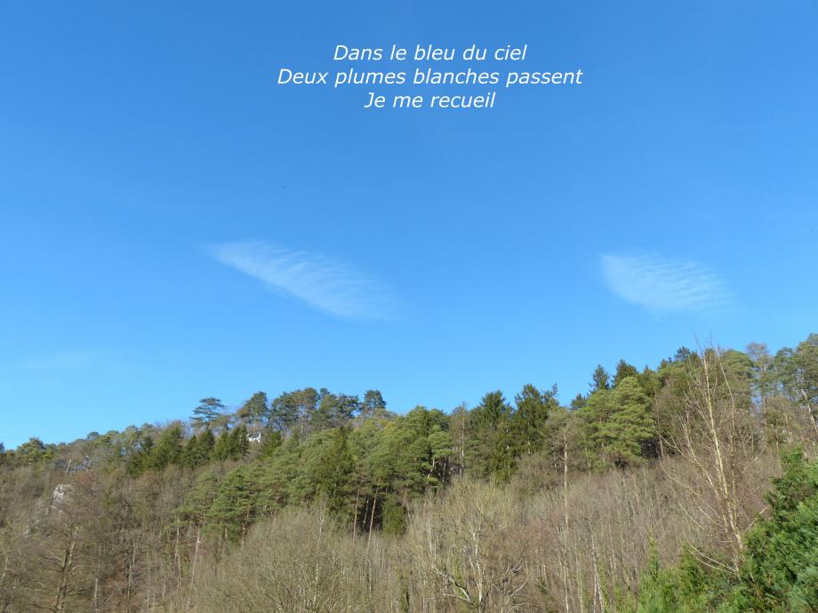Quelques pas sous un ciel bleu
